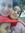 Manal
