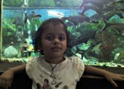 Paritosh