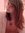 Emily S...