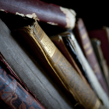 غَمَـــآآآمْ