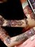 Anum