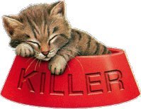 Kitty
