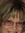 Mary Spady