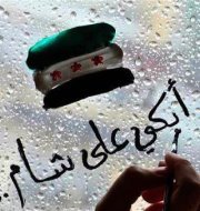 Tamer