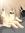 Madhan whitelight (madhan_whitelight) | 3 comments