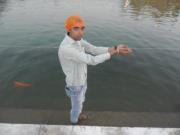 Pankaj