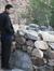 Walid S...
