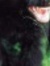 Frances...