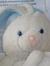 Bunnii
