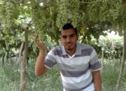 Bashar