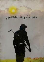Tareq