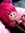Lala | 2 comments