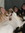 Chris (chrish511) | 10 comments