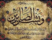 Tarek Mohamed