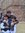 Dhruv