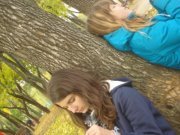 Andreea