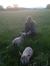 Orlaith