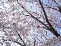 Mutsumi