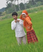 Rachman J.
