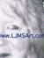 Lynda