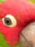 Mark