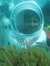 Ranjith