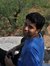 Ankit