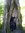 Britta