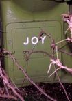 Joy Joy