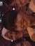 Ainul