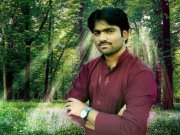 Anis-