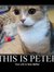 Peter