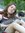 Nicolle
