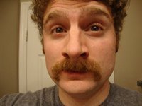 Dan