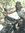 Shreya