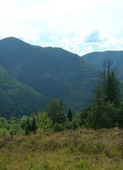 Iurii