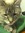 Janet (jegan) | 3 comments