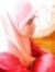 Lyana S...