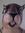 Carl