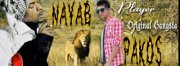 Nayab