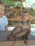 Andy