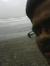 Shailesh