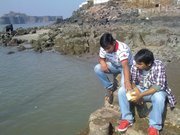 Rishi