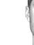 Kevin Perrine
