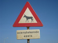 Susanne