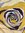 Jody White