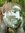 Fredette | 1 comments
