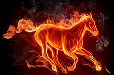 FirePony