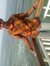 Reshon