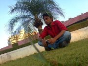 Arvind
